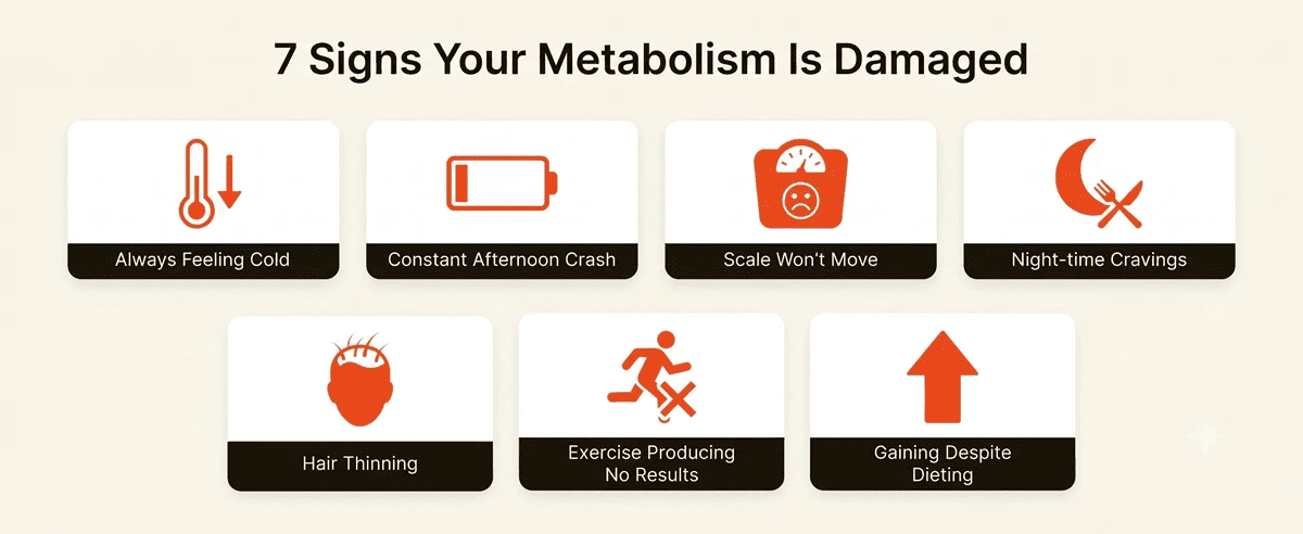 7 Signs Your Metabolism Is Damaged infographic — Always Feeling Cold, Afternoon Crash, Scale Won't Move, Night Cravings, Hair Thinning, No Exercise Results, Gaining Despite Dieting