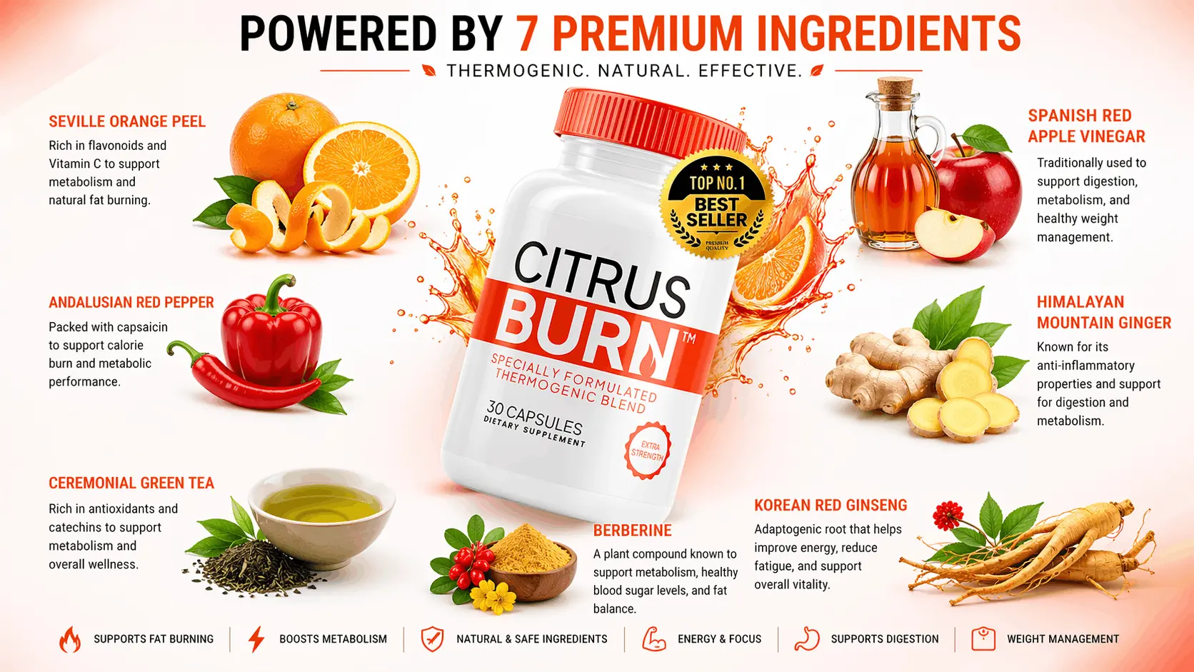 CitrusBurn™ 7 Premium Ingredients Infographic — Seville Orange Peel, Apple Vinegar, Red Pepper, Ginger, Green Tea, Berberine, Korean Red Ginseng